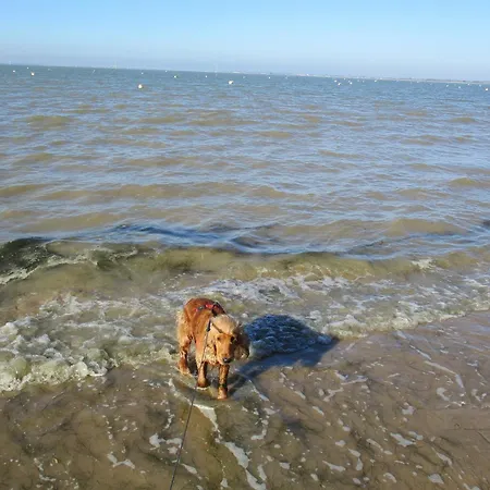 Gasthof Mer A 3Mn, Fibre, Vraie Maison 6Pers Max, 70M2 Independant , Naufrages, Mimosas ! 3*