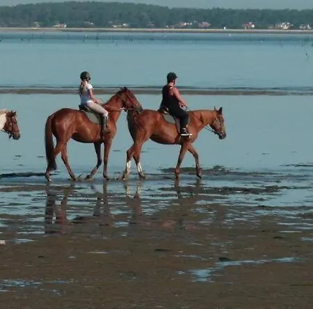 Mer A 3Mn, Fibre, Vraie Maison 6Pers Max, 70M2 Independant , Naufrages, Mimosas ! Ronce-les-Bains