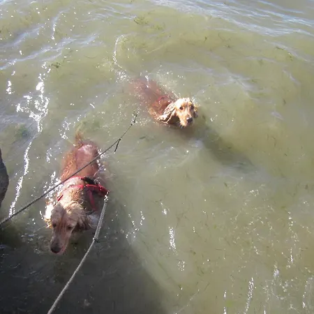 Gasthof Mer A 3Mn, Fibre, Vraie Maison 6Pers Max, 70M2 Independant , Naufrages, Mimosas ! 3*