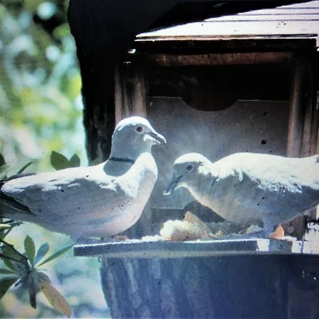 Maison d'hôtes RONCE ,mer à 3mn, MAISON 70m2 avec fibre, naufragés de la route ,LA vue !