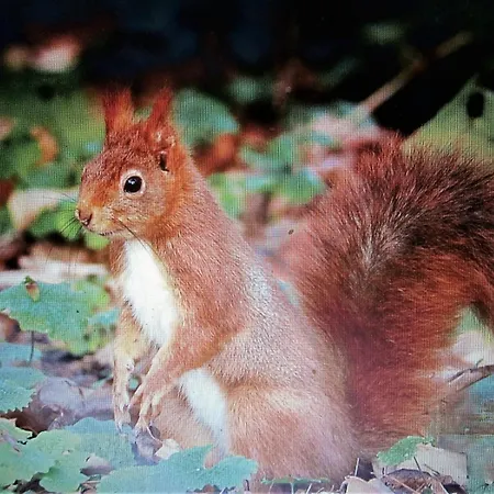 RONCE ,mer à 3mn, MAISON 70m2 avec fibre, naufragés de la route ,LA vue !