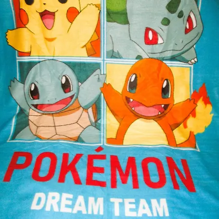 RONCE ,mer à 3mn, MAISON 70m2 avec fibre, naufragés de la route ,LA vue !