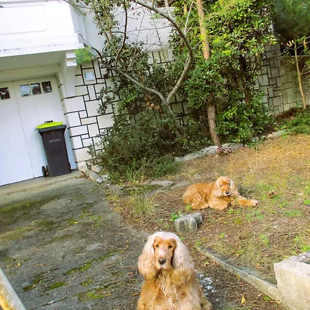 招待所 Ronce ,Mer A 3Mn,Avec Fibre, Naufrages De La Route ,La Vue ! 3*