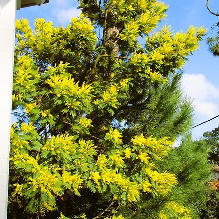 RONCE ,mer à 3mn, MAISON 70m2 avec fibre, naufragés de la route ,LA vue !