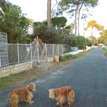 Πανσιόν Mer A 3Mn, Fibre, Vraie Maison 6Pers Max, 70M2 Independant , Naufrages, Mimosas !